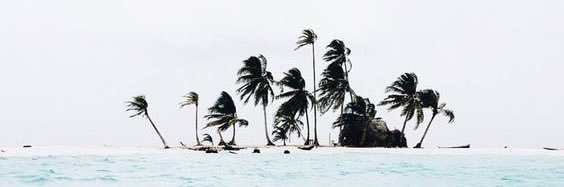 allisonsweeney1's profile banner image