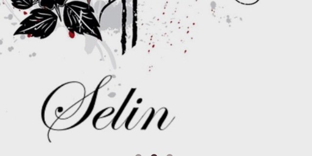 slnylmzfn's profile banner image