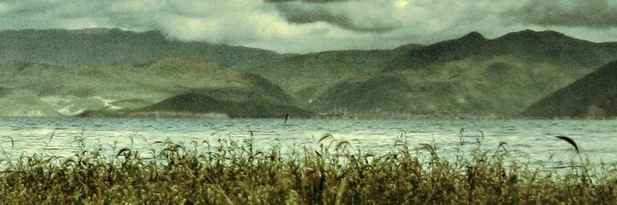 Daniel Eichhorn (geb. Constein) banner
