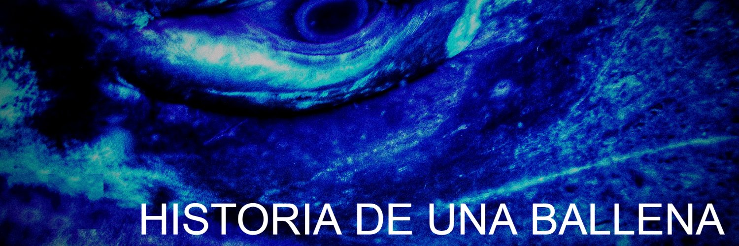 RaquelDiana's profile banner image