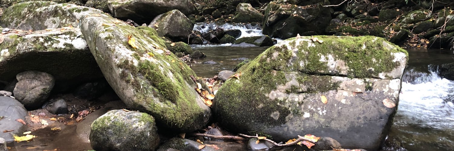 lindsayrob98's profile banner image