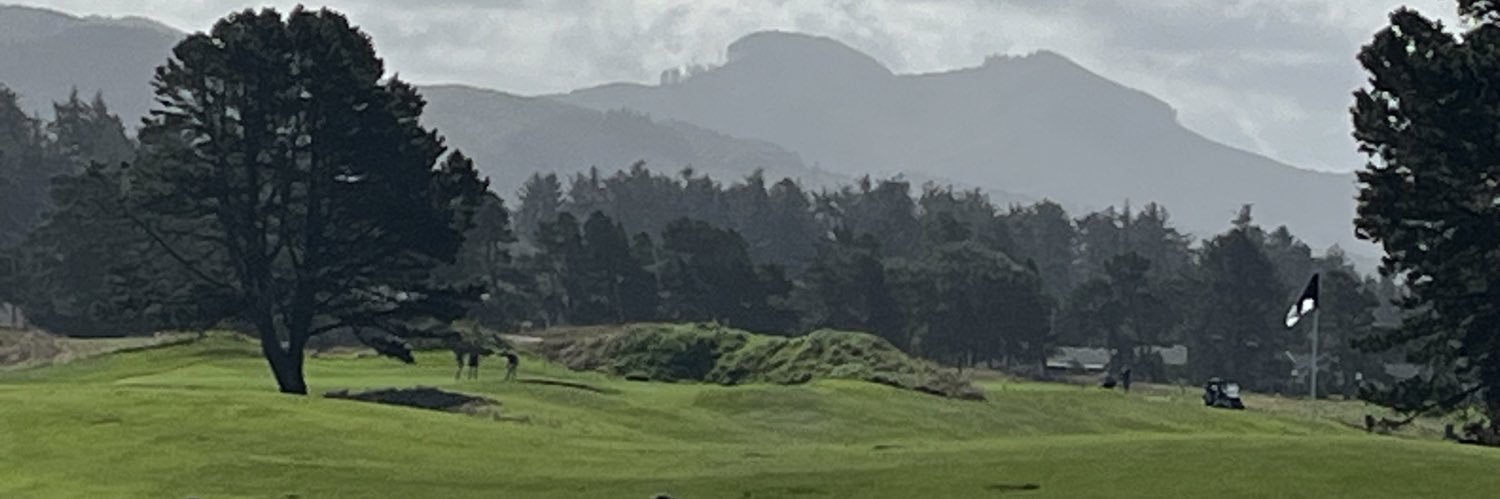 Pam 🐬🙌💛🖤❤️⛳️🇺🇸🏈💙✈️🍺 banner