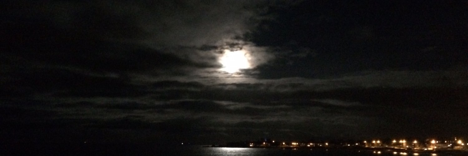 Suzanne Indja banner