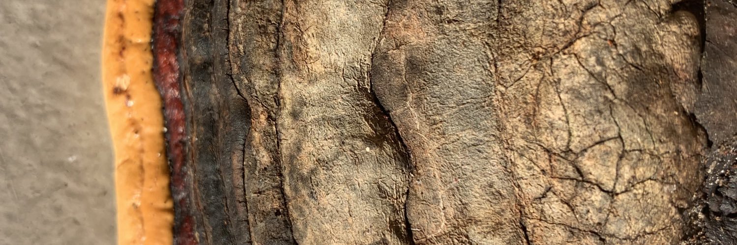 DahaDza's profile banner image
