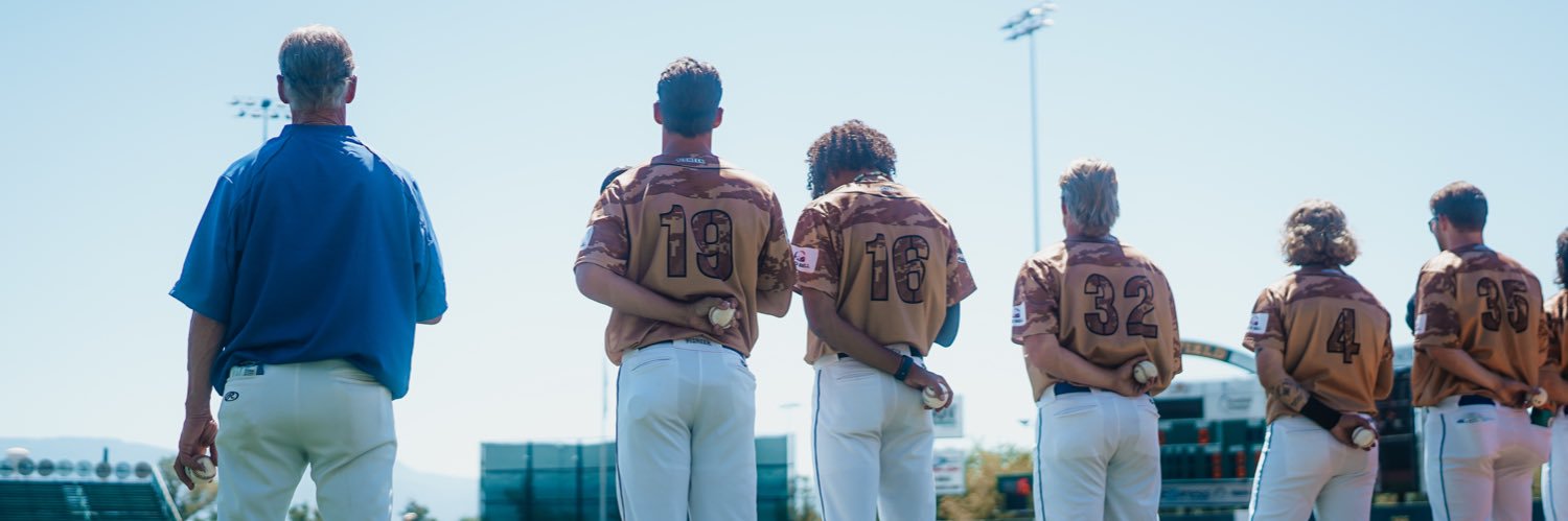 Save Ferris 1984 banner