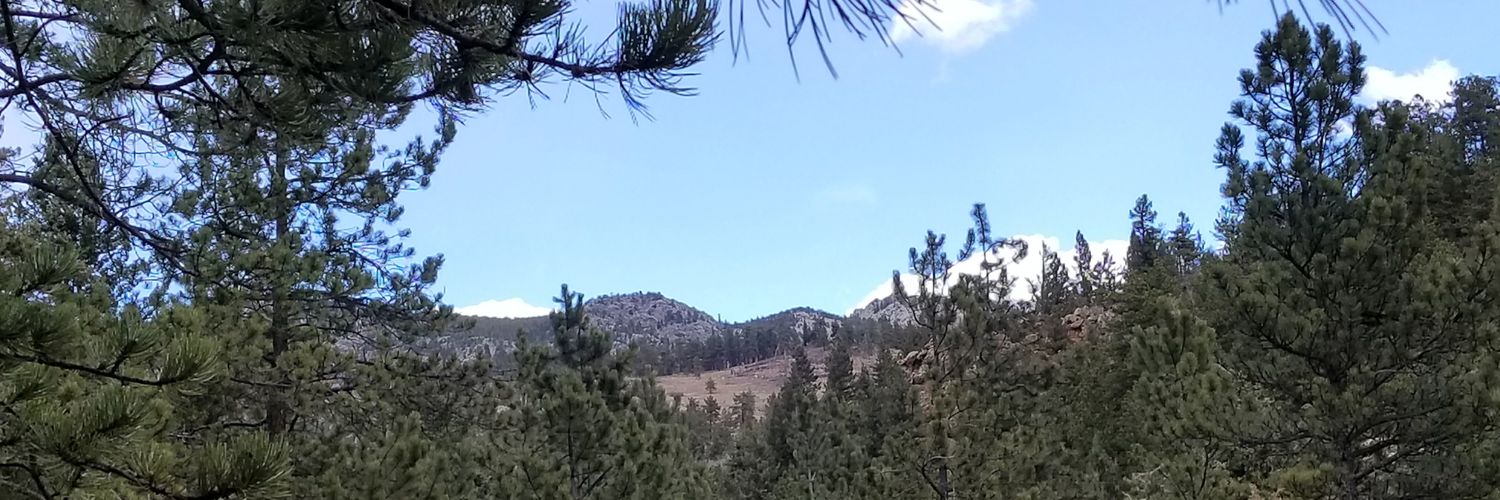 rferrell01's profile banner image