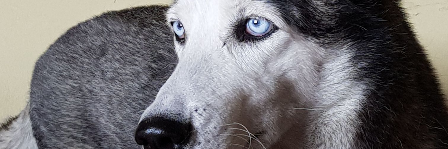 jeff18835's profile banner image