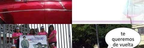 paraya481's profile banner image