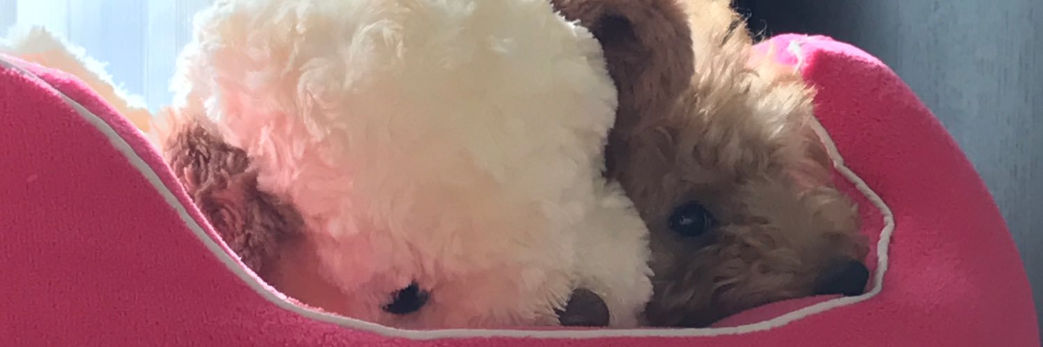 duffy_oswald's profile banner image