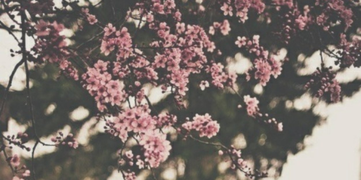 NeetuPersaud's profile banner image