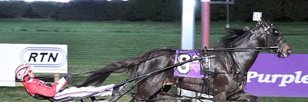 RobertRob23 Profile Banner