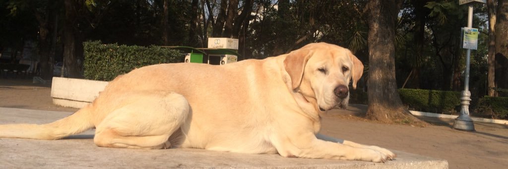 btofran's profile banner image