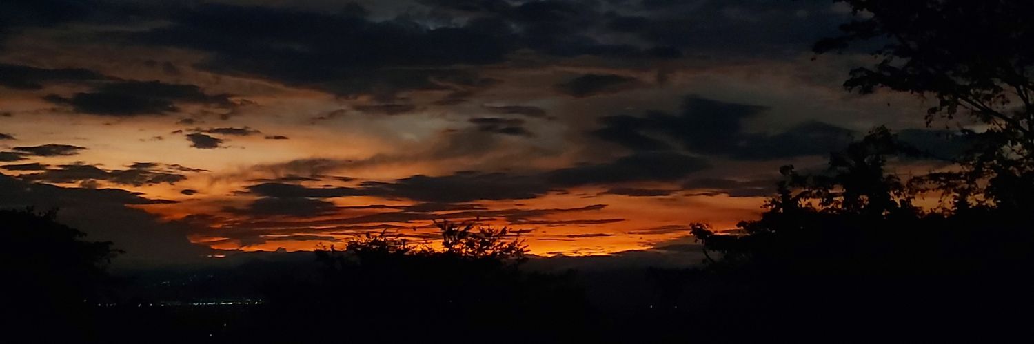 sofia_bejarano's profile banner image