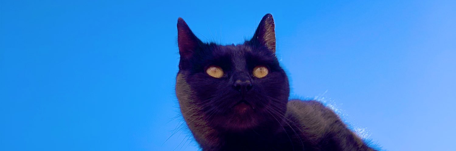HeyItsMeVale's profile banner image