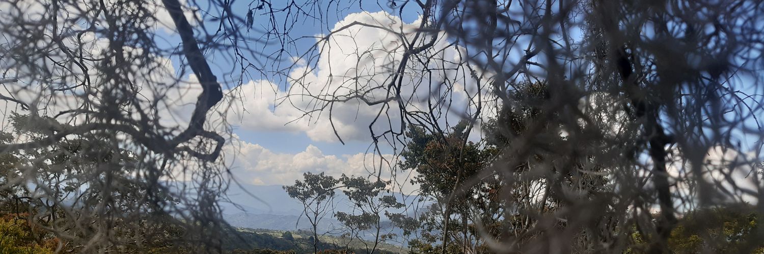 Bladhurtado's profile banner image