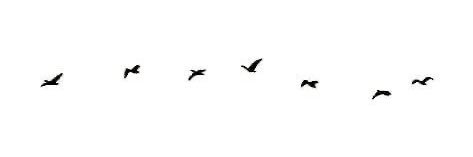 efe__9's profile banner image