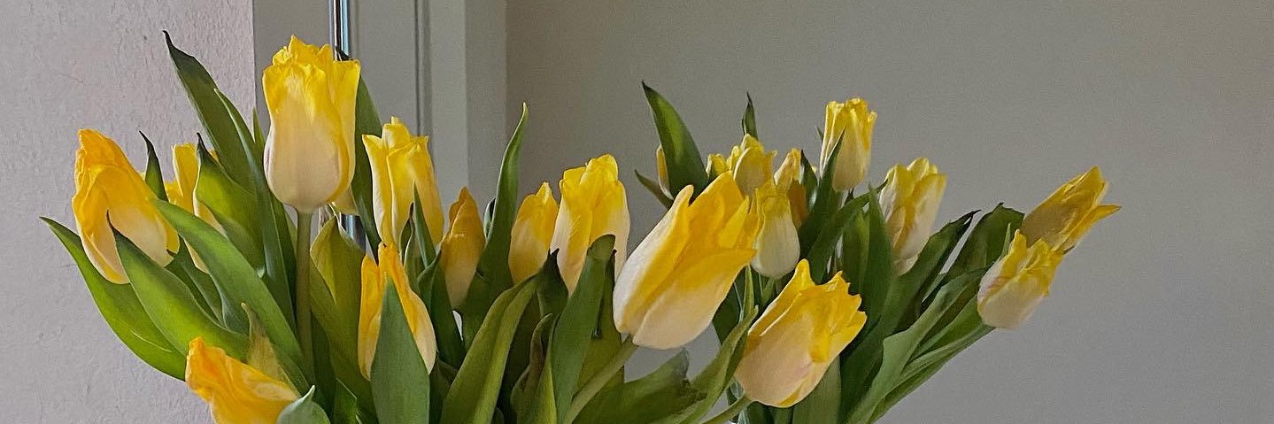 kwooozy's profile banner image