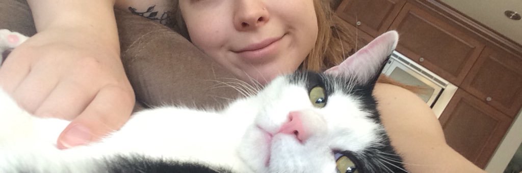 kaley_tomaino's profile banner image