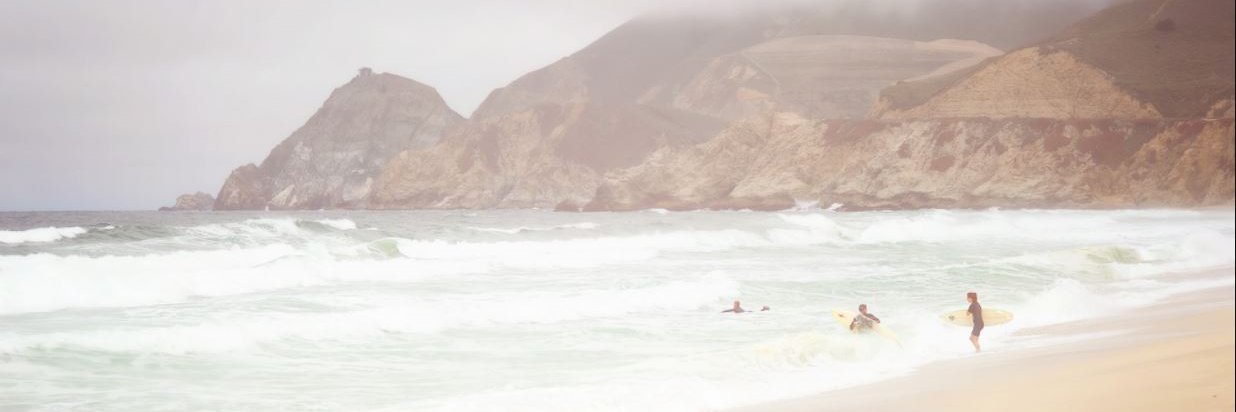 Vanessa Cornell banner