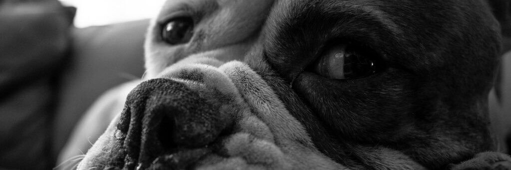 killing_sam's profile banner image