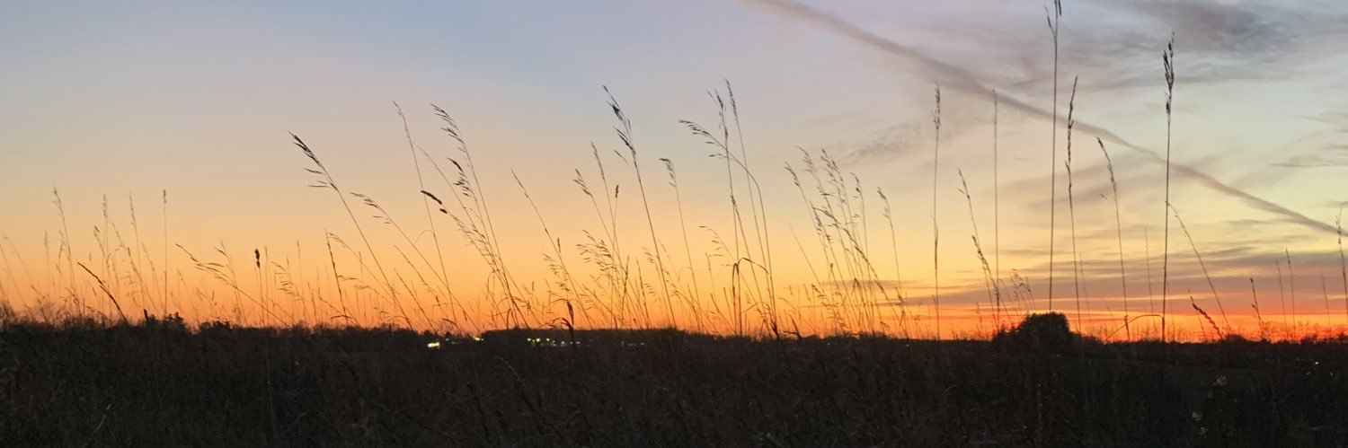 gracestrongmann's profile banner image