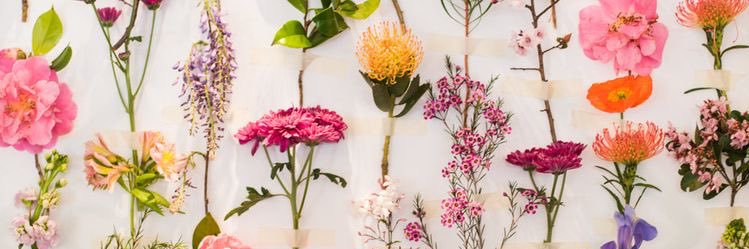 nottrishpaytas's profile banner image