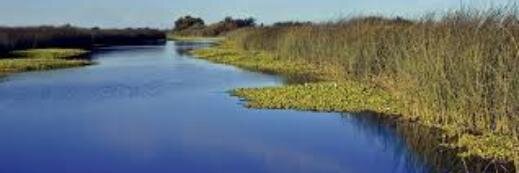 NORTH DELTA CARES banner