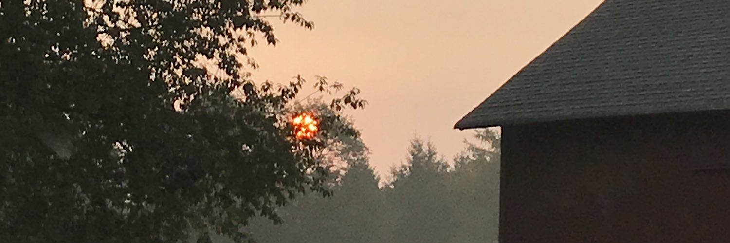 Patricia M. B. Kitchen banner