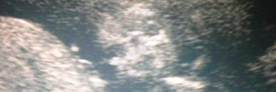 Javomova's profile banner image