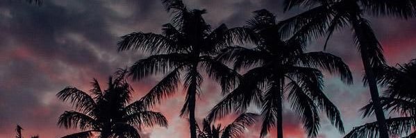 AdamHunte's profile banner image
