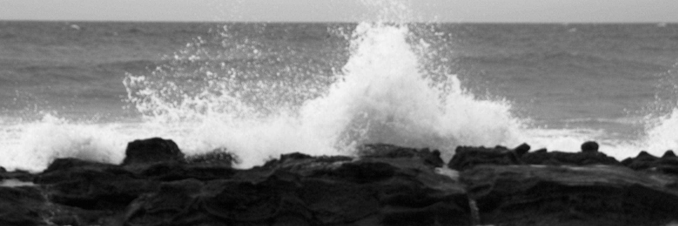 David Revelo 🇺🇦 banner