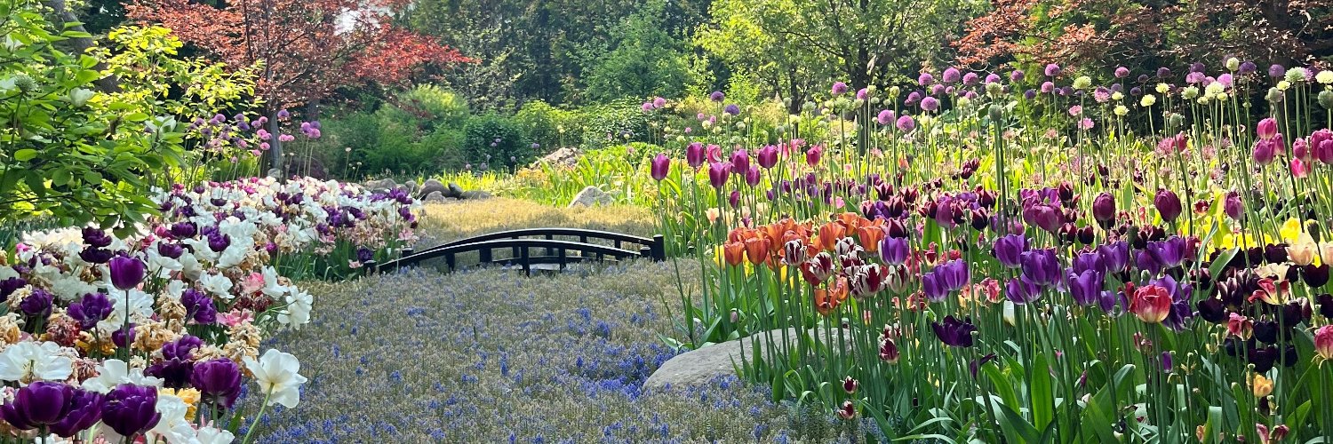 @Clemson Gamecock banner