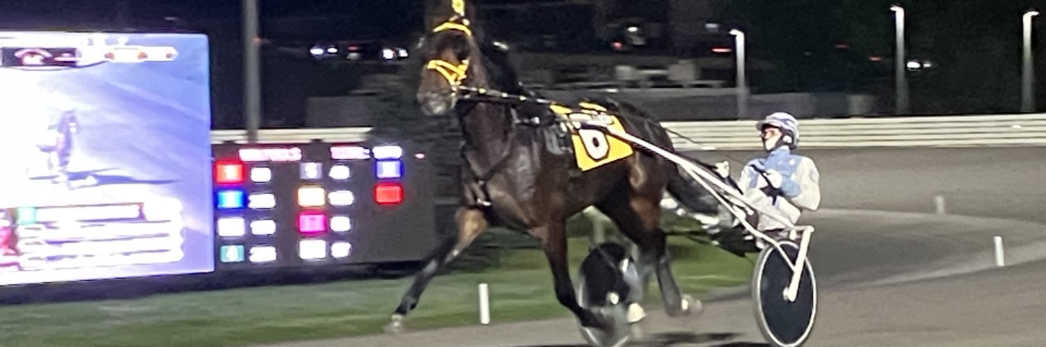 RayColevas🐎🐎 banner