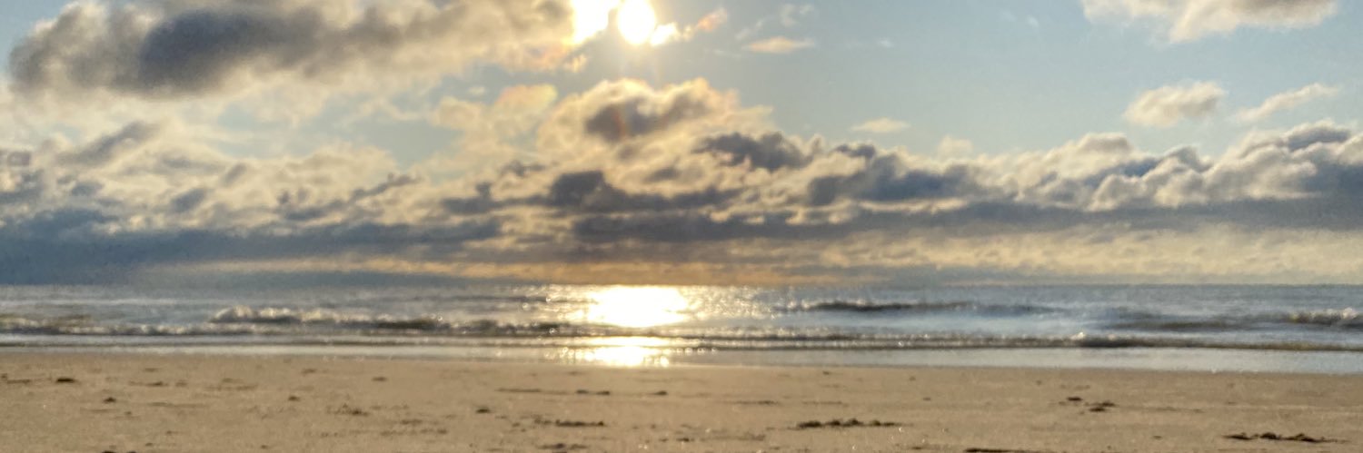 b_sarbs's profile banner image