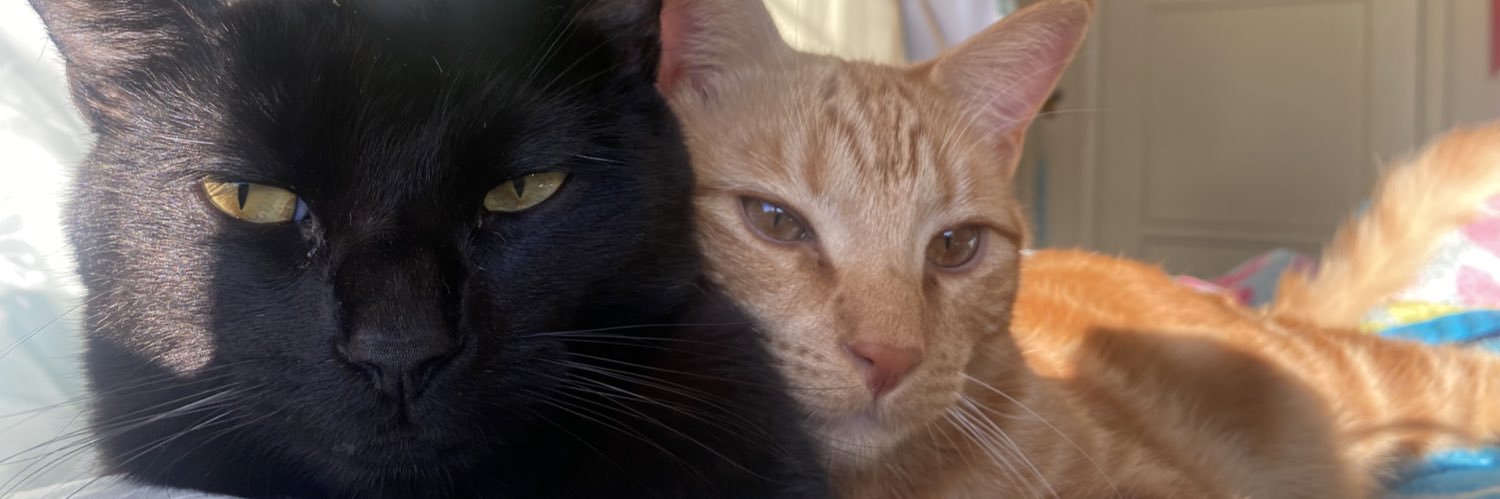 erinmary's profile banner image