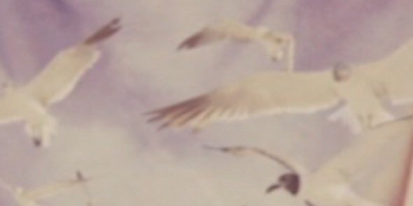 OkapiChan13's profile banner image