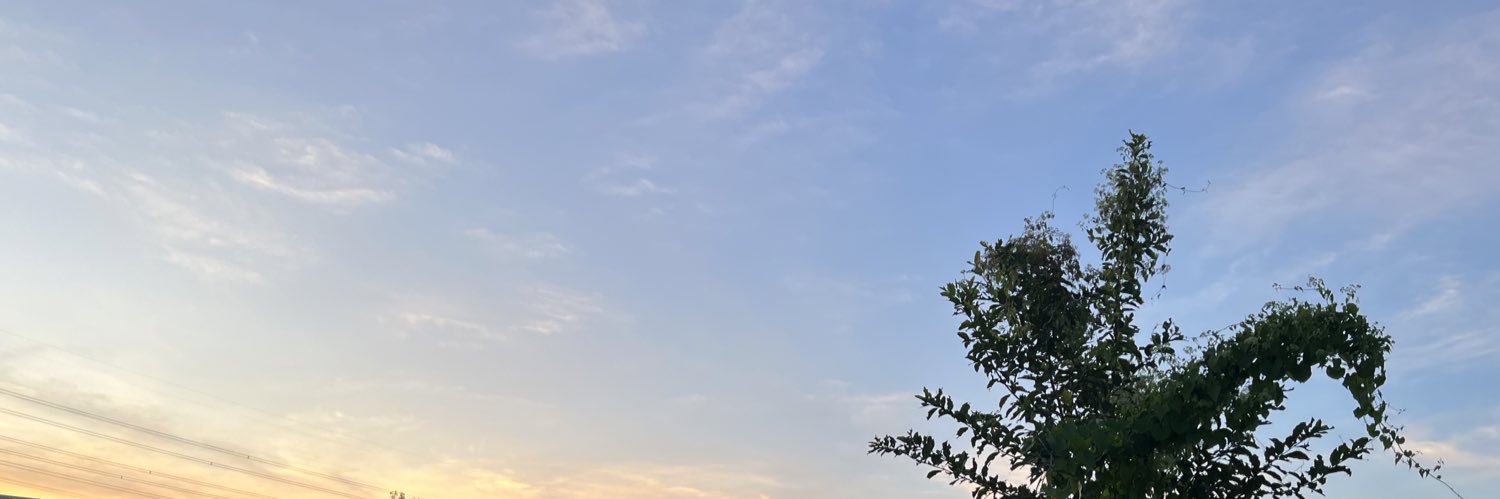 SLMNRMBK's profile banner image