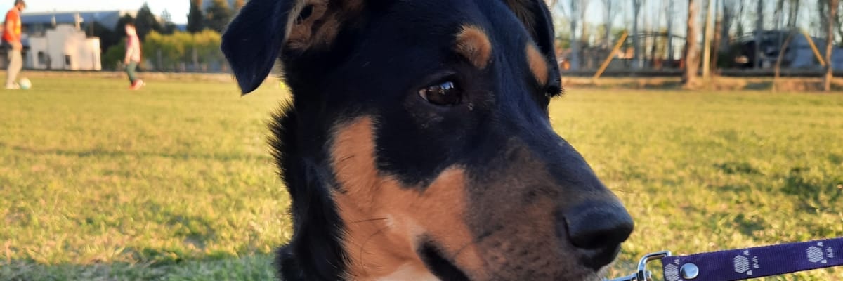 Facundo2121997's profile banner image