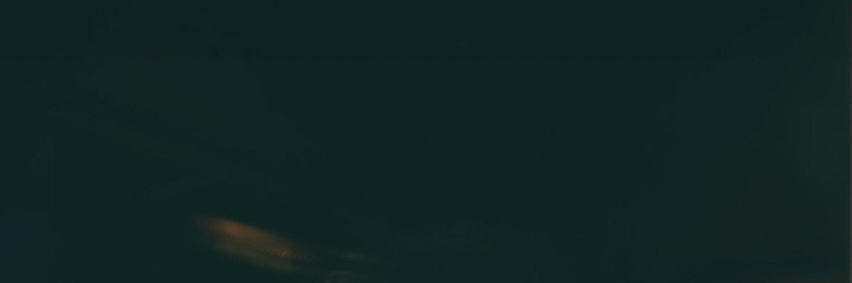 S. banner