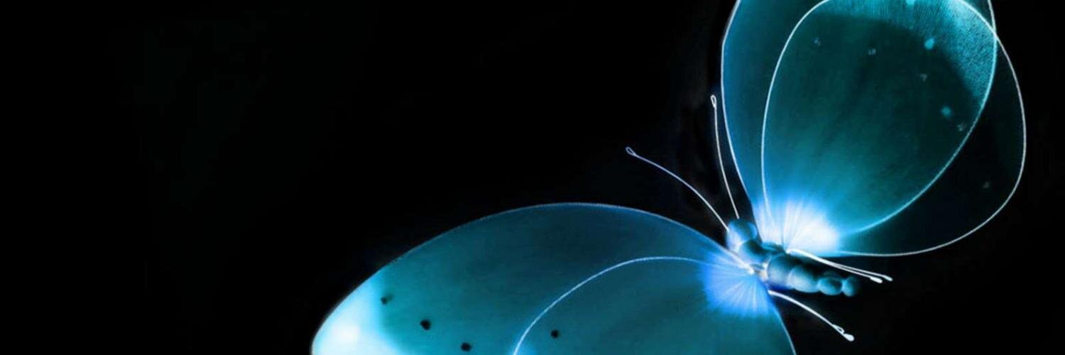 afrodecendient's profile banner image