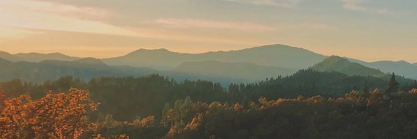 jadachin Profile Banner