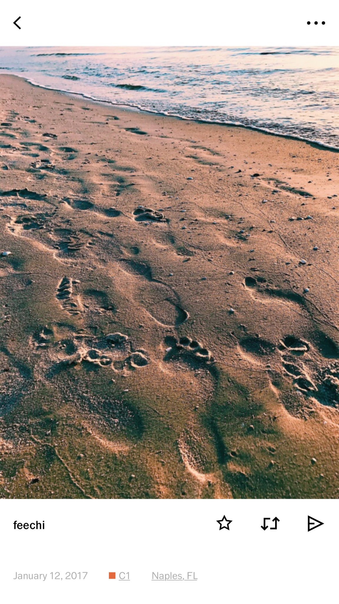 amandaanicoleex's profile banner image
