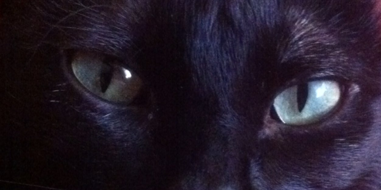 Coop_Carla's profile banner image