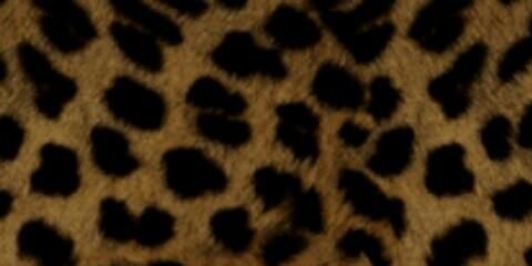 AndreaaVegaa's profile banner image