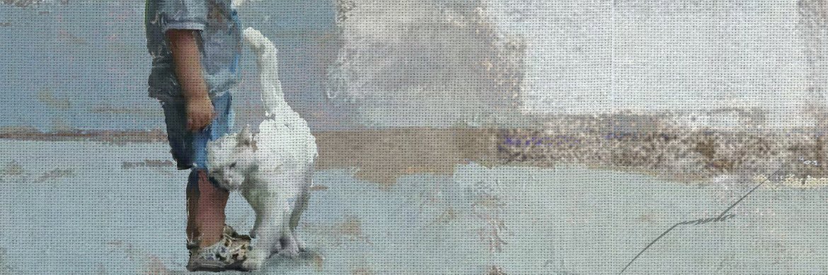 fayberthvela's profile banner image