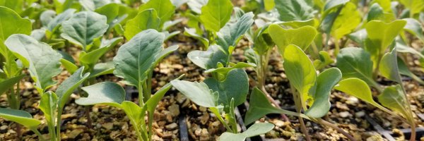 Farm2Inst Profile Banner