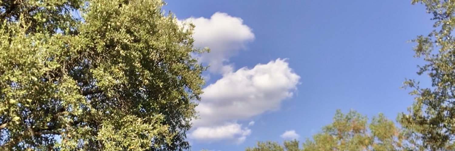 LukeFronto's profile banner image