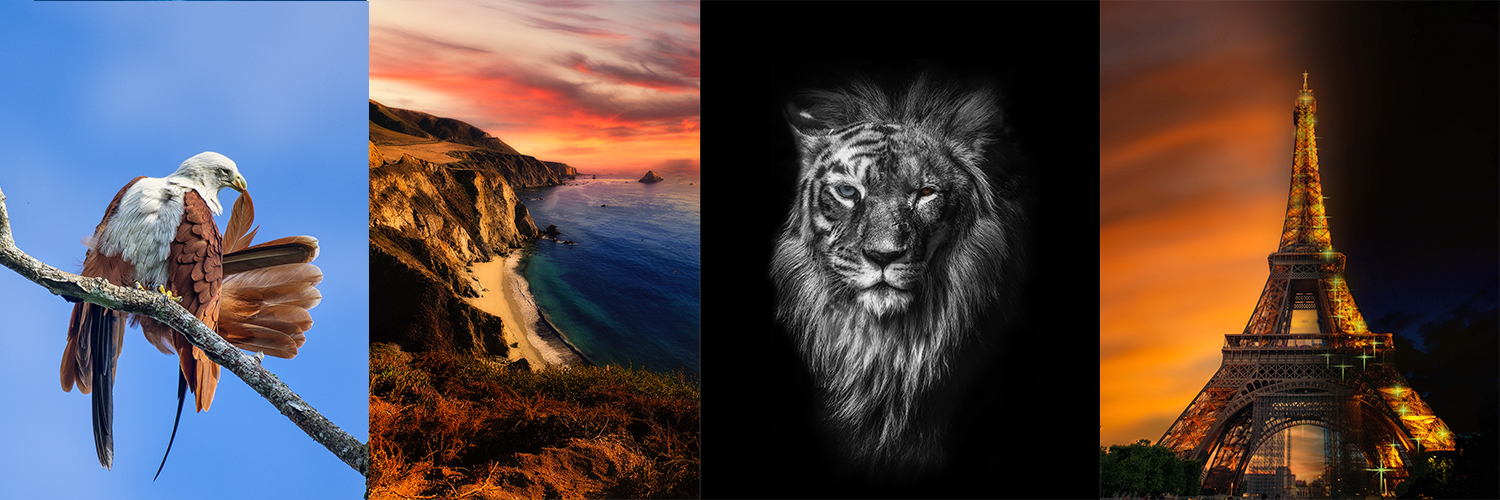 Ujval Pasupuleti 🦉 banner