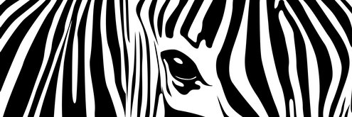 THEDETROITZUU's profile banner image