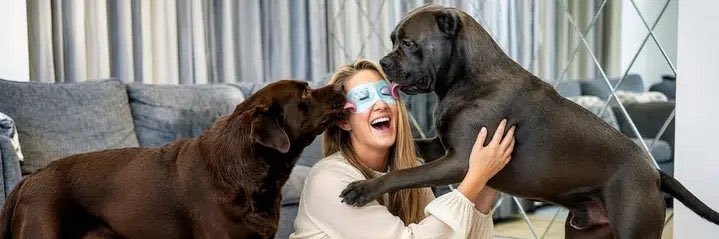 _Dogqueenn's profile banner image